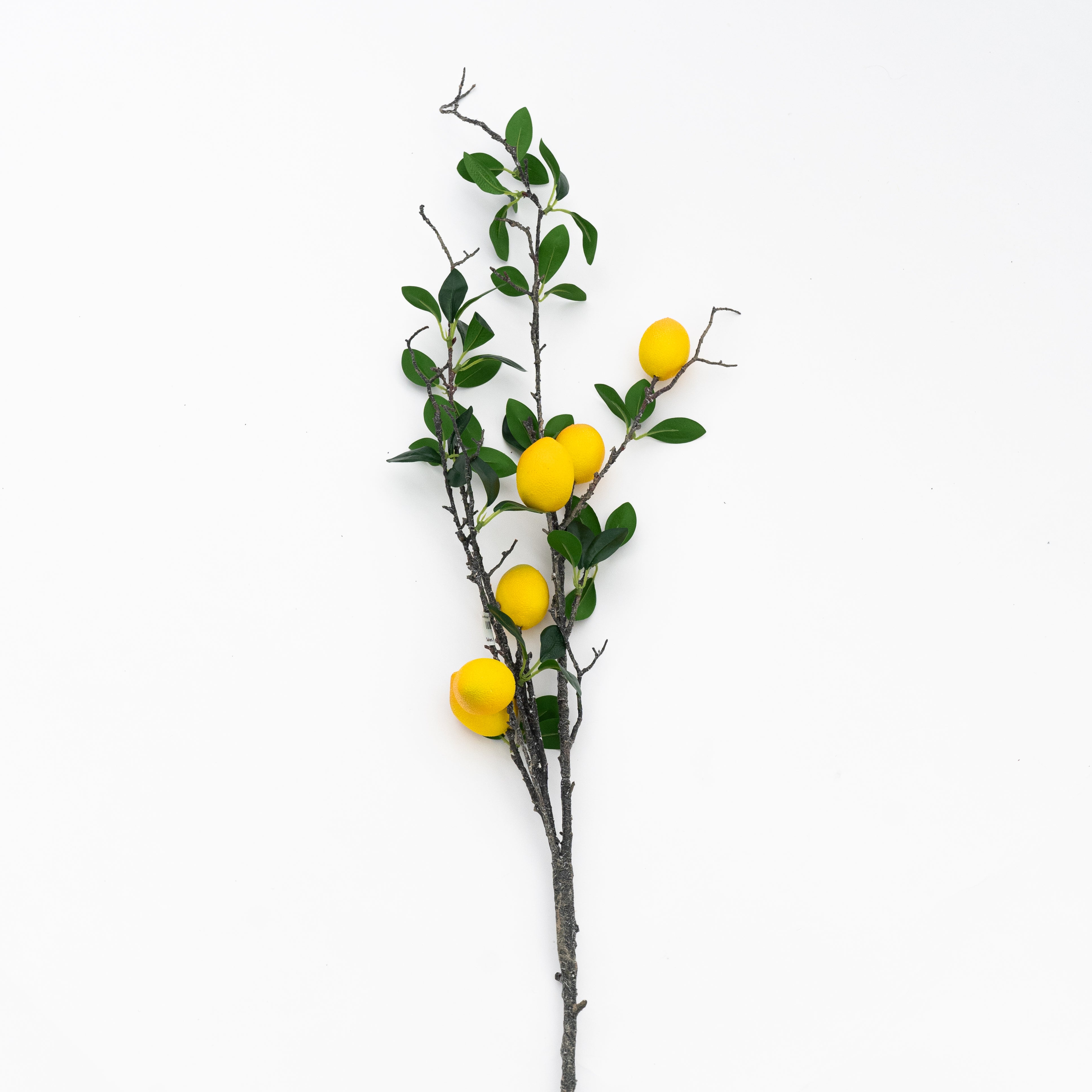 Lemon -  Artifical Flower - Wood and Steel Furnitures